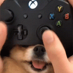Playing Video Games with Doggo