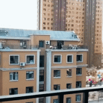 dog and human martial art rooftop balcony gif | Dog in lockdown still needs exercise
