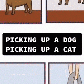 Picking Up a Dog vs Picking Up a Cat