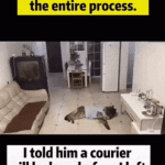 Pet dog in Shenzhen receives delivery package and shut door by itself: courier was shocked | Smart dog receives delivery package for owner when it's at home alone | dog opens the door gets the delivery package and sends off the delivery guy | ok you delivered the package now gtfo