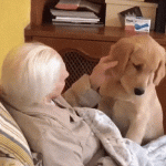 Grandma is Happy Being with Doggo