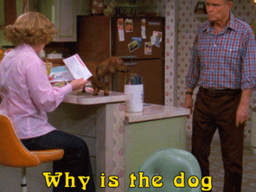Dog Likes to be Tall | 70's Show