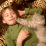 Cat Massages a Boy