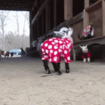 Just a Stampede of Baby Goats in Pajamas